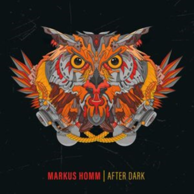 HOMM, MARKUS | AFTER DARK (2-12INCH) | 12IN VINYL