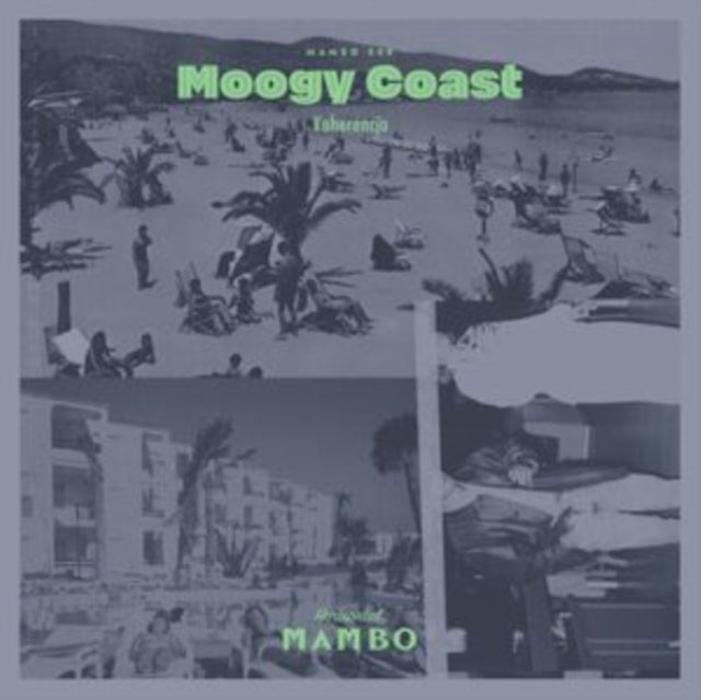 MOOGY COAST | KOHERENCJA | VINYL RECORD (LP)