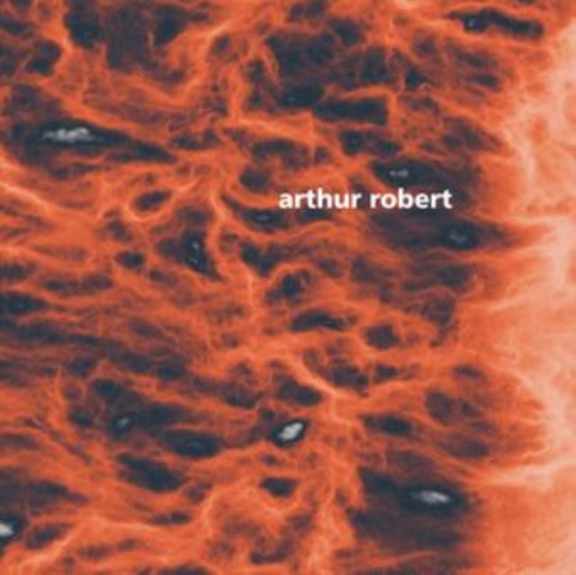 ROBERT, ARTHUR | METAMORPHOSIS PART 2 | 12IN VINYL