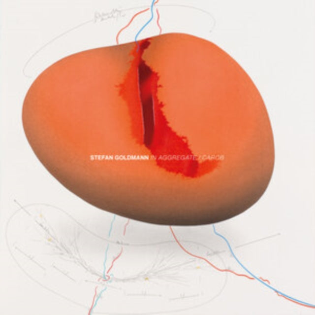 GOLDMANN, STEFAN | IN AGGREGATE/CAROB | 10IN VINYL