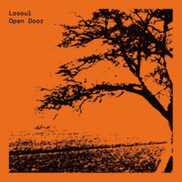LOSOUL | OPEN DOOR (EXPANDED) (2-12INCH) | 12IN VINYL