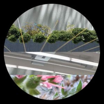 MILL, STEVE | LOVE ATTACK EP | 12IN VINYL