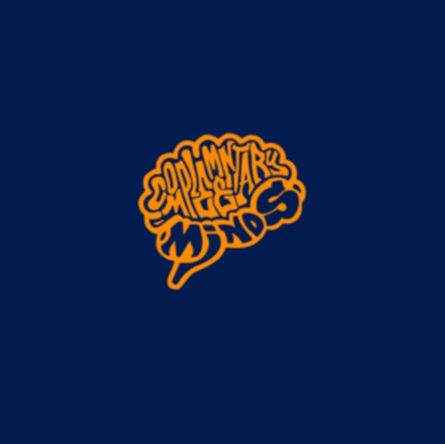COMPLEMENTARY MINDS | BUTCH HAYNES INTRODUCES COMPLEMENTARY MINDS VOL. 1 | VINYL RECORD (LP)