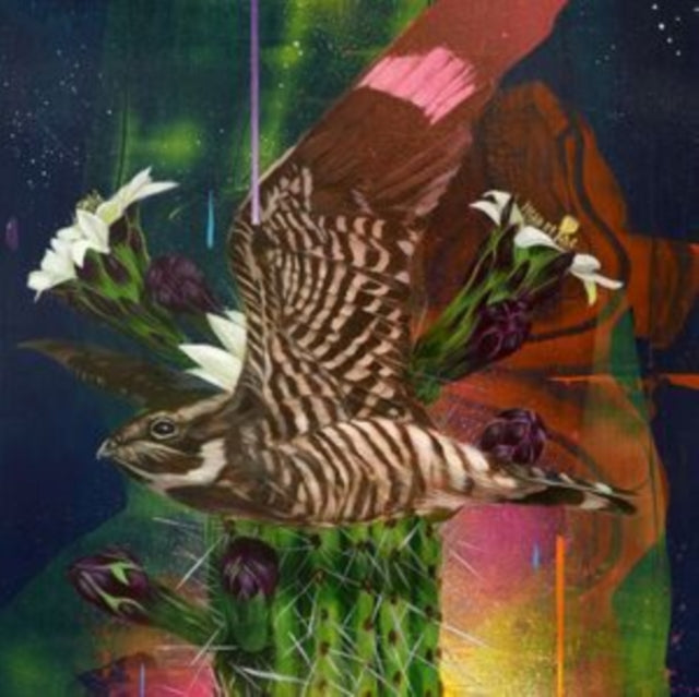 RUSSELL, TODD & THE DANGEROUS COATS | PLAYA LARGA/1900 OCEAN AVE | 12IN VINYL