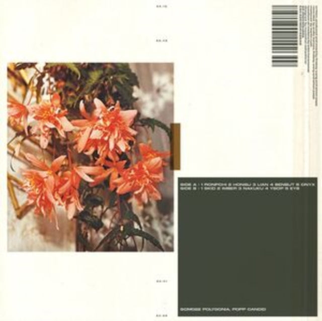 POLYGONIA, POPP | CANDID | VINYL RECORD (LP)
