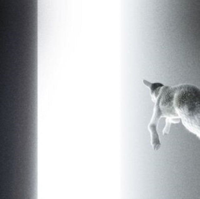 PANORAM | KEEP LOOKING WHERE THE LIGHT COMES FROM | VINYL RECORD (LP)
