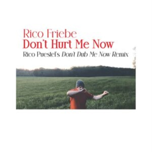 FRIEBE, RICO | DON'T HURT ME NOW (RICO PUESTEL'S DON'T DUB ME NOW REMIX) | 12IN VINYL