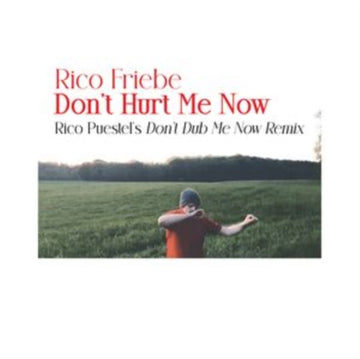 FRIEBE, RICO | DON'T HURT ME NOW (RICO PUESTEL'S DON'T DUB ME NOW REMIX) | 12IN VINYL