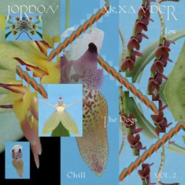 ALEXANDER, JORDON | HOW THE DOGS CHILL: VOL. 2 | 12IN VINYL