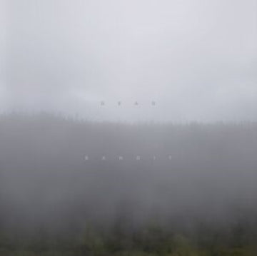 DEAD BANDIT | VINYL RECORD (LP)
