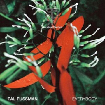 EVERYBODY | 12IN VINYL