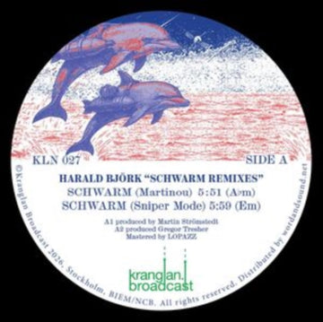 SCHWARM REMIXES | 12IN VINYL