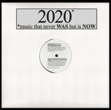 2020: MUSIC THAT NEVER WAS BUT IS NOW | 12IN VINYL