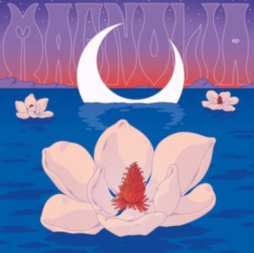 MAGNOLIA (ROMAN FLUGEL REMIX/PASCAL MOSCHENI REMIX) | 12IN VINYL