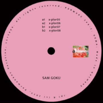 EXPLORATIONS 02 | 12IN VINYL