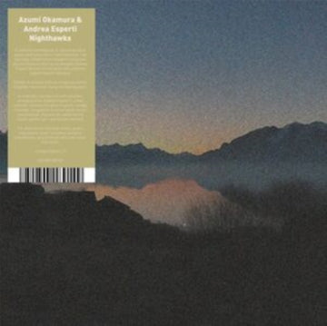 NIGHTHAWKS | VINYL RECORD (LP)