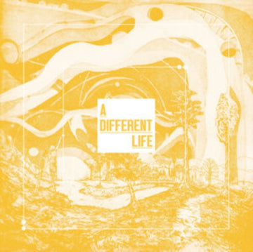 DIFFERENT LIFE (2LP) | VINYL RECORD (LP)