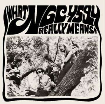 WHAT NGC-4594 REALLY MEANS! (2LP) | VINYL RECORD (LP)