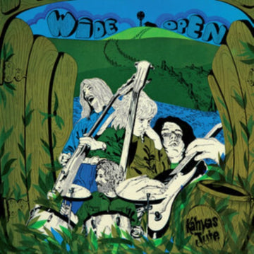 WIDE OPEN | VINYL RECORD (LP)
