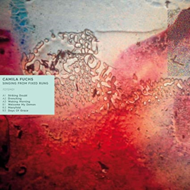 FUCHS, CAMILA | SINGING FROM FIXED RUNG | 12IN VINYL