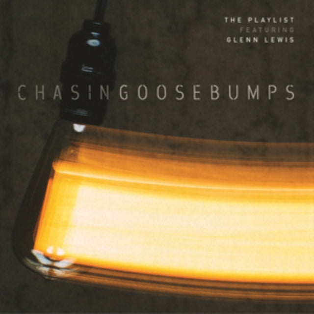 PLAYLIST | CHASING GOOSEBUMPS (GATEFOLD) | VINYL RECORD (LP)