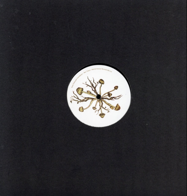 ASIAN PSILOCYBE FOUNDATION / DJ YOGURT & MOJA | DAIKAKU EP | 12IN VINYL