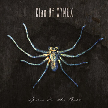SPIDER ON THE WALL | VINYL RECORD (LP)