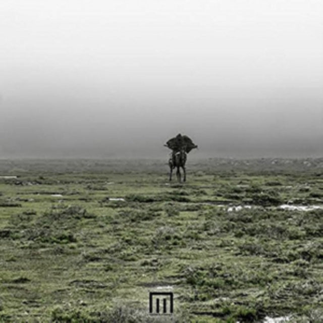 WORMSTORM, MARKUS | FIGURE IN FIELD | VINYL RECORD (LP)