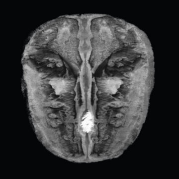 DIE GESAENGE DES MALDOROR | VINYL RECORD (LP)