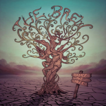SHAKE THE TREE | VINYL RECORD (LP)