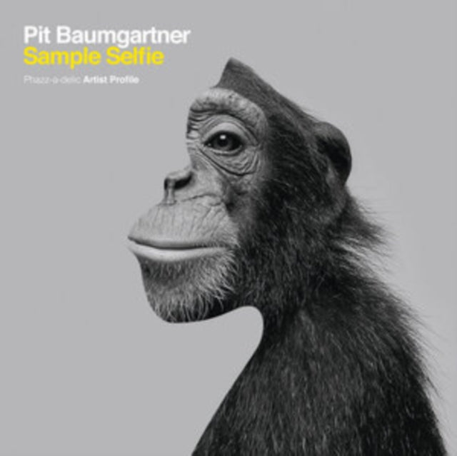 PIT BAUMGARTNER | SAMPLE SELFIE | VINYL RECORD (LP)