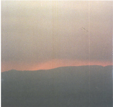 SUBMERSE | WORKS | VINYL RECORD (LP)