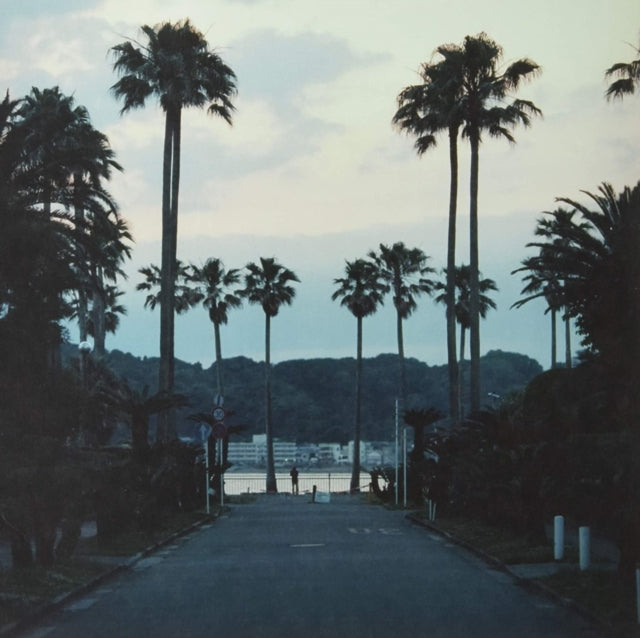 SUBMERSE | ARE YOU ANYWHERE | VINYL RECORD (LP)
