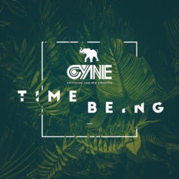 TIME BEING | VINYL RECORD (LP)