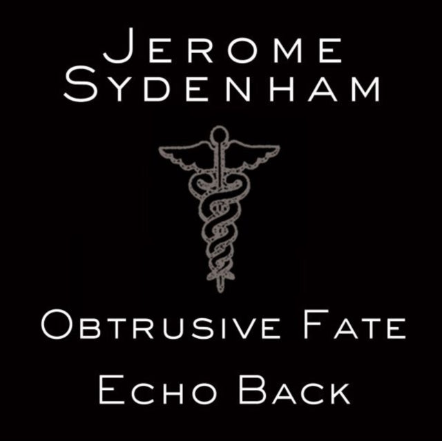 SYDENHAM, JEROME | ECHO BACK | 12IN VINYL