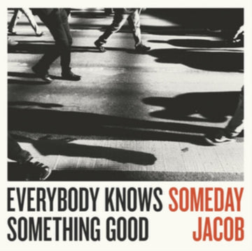 EVERYBODY KNOWS SOMETHING GOOD | VINYL RECORD (LP)
