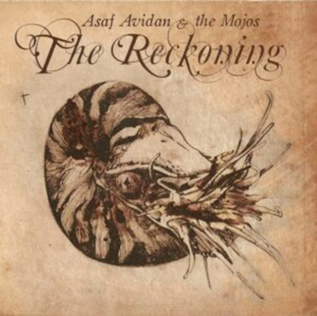 AVIDAN, ASAF | RECKONING | VINYL RECORD (LP)