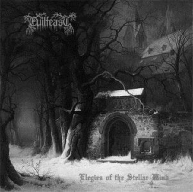 EVILFEAST | ELEGIES OF THE STELLAR WIND | VINYL RECORD (LP)