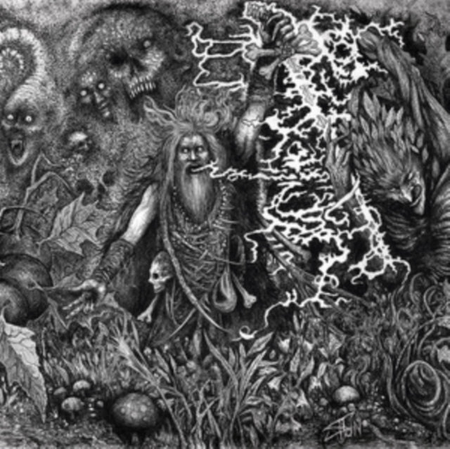 WERIAN | ANIMIST | VINYL RECORD (LP)
