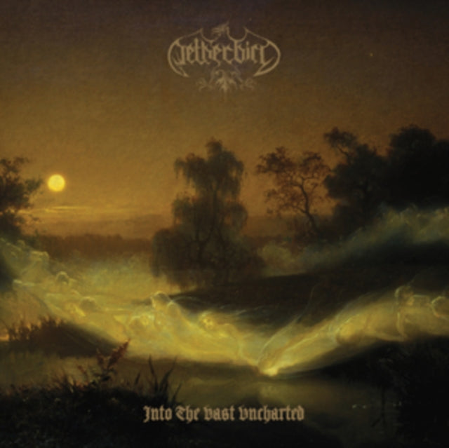 NETHERBIRD | INTO THE VAST UNCHARTED | VINYL RECORD (LP)