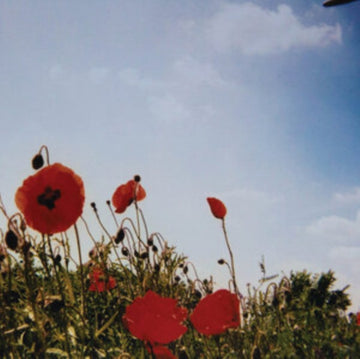BLOEM | VINYL RECORD (LP)