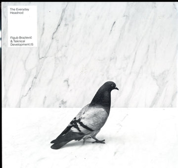 EVERYDAY HEADNOD: DELUXE EDITION | VINYL RECORD (LP)