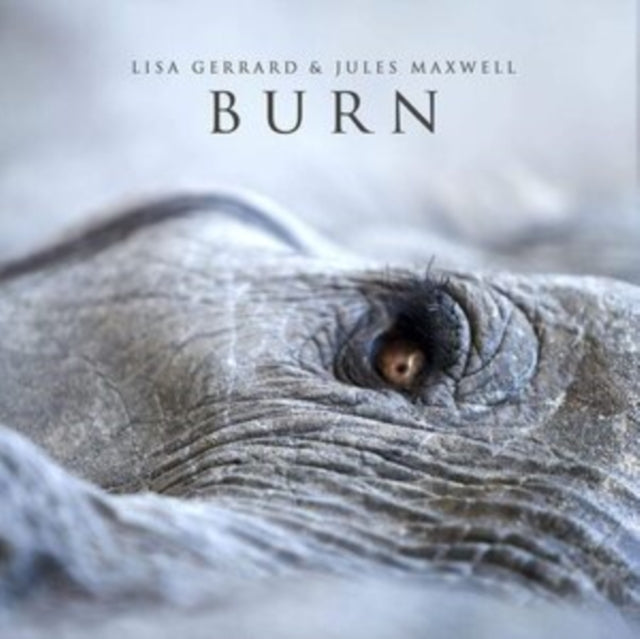 GERRARD, LISA | BURN | VINYL RECORD (LP)