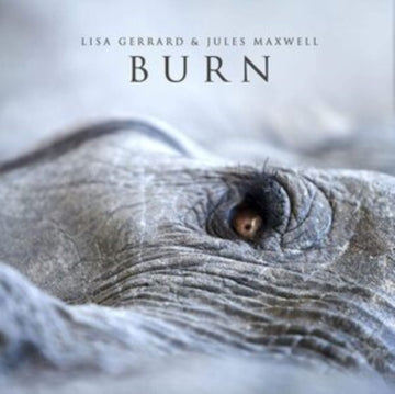 GERRARD, LISA | BURN | VINYL RECORD (LP)