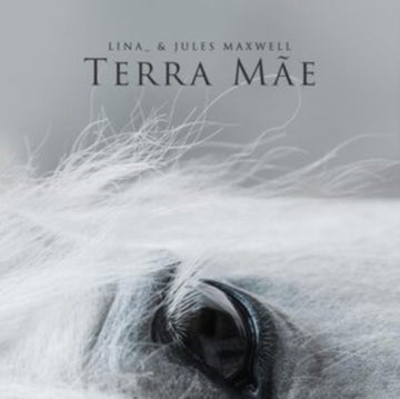 TERRA MAE | VINYL RECORD (LP)