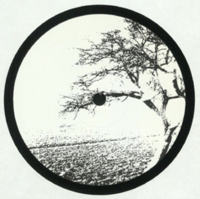 LOSOUL | OPEN DOOR | 12IN VINYL