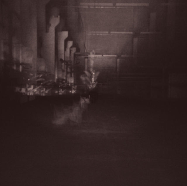 DUB TAYLOR | CAVES & CAGES | 12IN VINYL