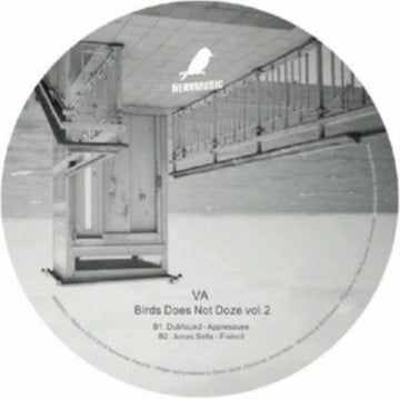 VARIOUS ARTISTS | BIRD DOES NOT DOZE VOL. 2 | 12IN VINYL