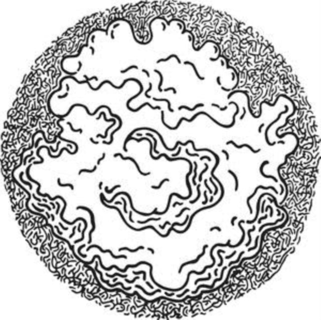 OSTROWSKI | PRIMARY FLUCTUATION | 12IN VINYL