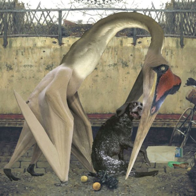 RHADOO | SEMANTICS | 12IN VINYL
